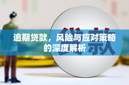 大武逾期贷款，风险与应对策略的深度解析
