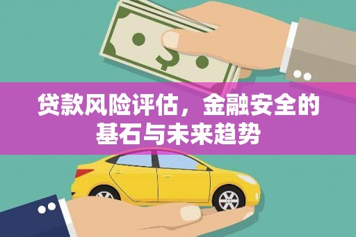 大武贷款风险评估，金融安全的基石与未来趋势