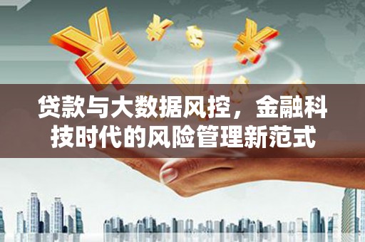 大武贷款与大数据风控，金融科技时代的风险管理新范式