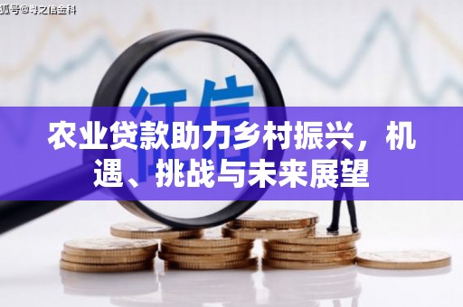 大武农业贷款助力乡村振兴，机遇、挑战与未来展望