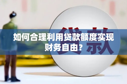 大武如何合理利用贷款额度实现财务自由？