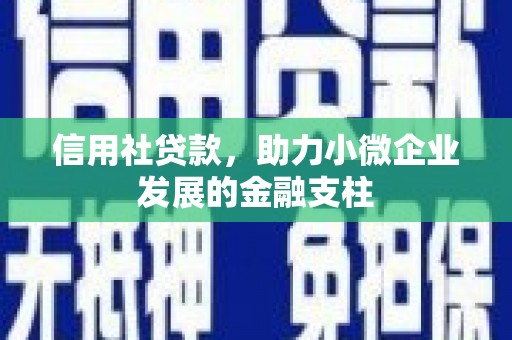 大武信用社贷款，助力小微企业发展的金融支柱