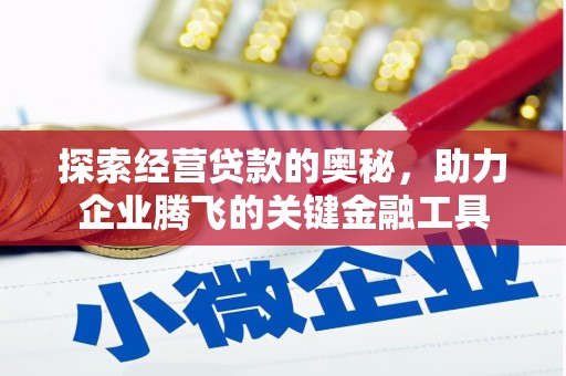 大武探索经营贷款的奥秘，助力企业腾飞的关键金融工具