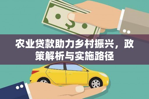 大武农业贷款助力乡村振兴，政策解析与实施路径