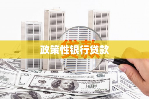 大武政策性银行贷款
