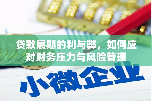 大武贷款展期的利与弊，如何应对财务压力与风险管理