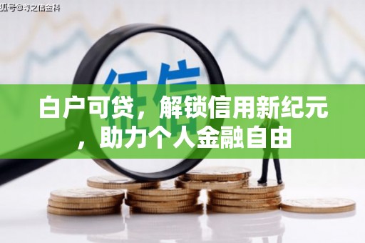 大武白户可贷，解锁信用新纪元，助力个人金融自由