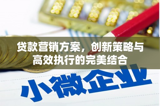 大武贷款营销方案，创新策略与高效执行的完美结合