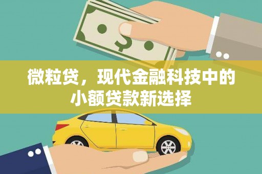 大武微粒贷，现代金融科技中的小额贷款新选择