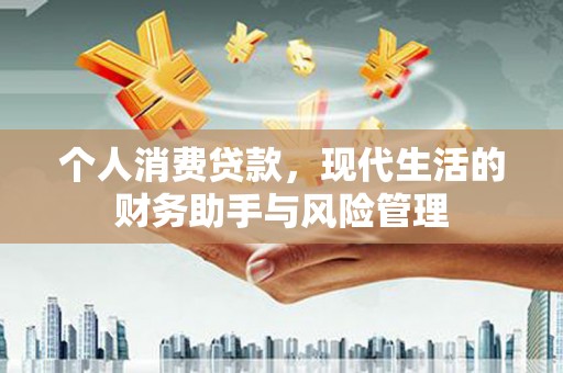 大武个人消费贷款，现代生活的财务助手与风险管理