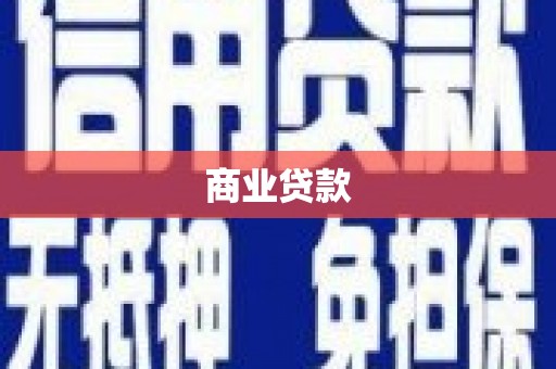 大武商业贷款