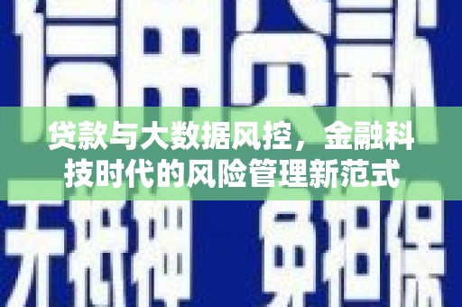 大武贷款与大数据风控，金融科技时代的风险管理新范式