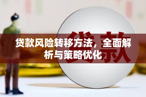 大武贷款风险转移方法，全面解析与策略优化
