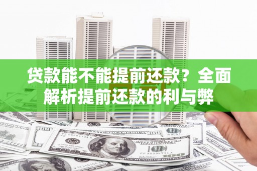 大武贷款能不能提前还款？全面解析提前还款的利与弊