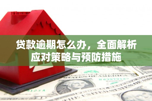 大武贷款逾期怎么办，全面解析应对策略与预防措施