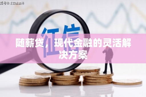 大武随薪贷，现代金融的灵活解决方案