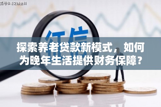 大武探索养老贷款新模式，如何为晚年生活提供财务保障？
