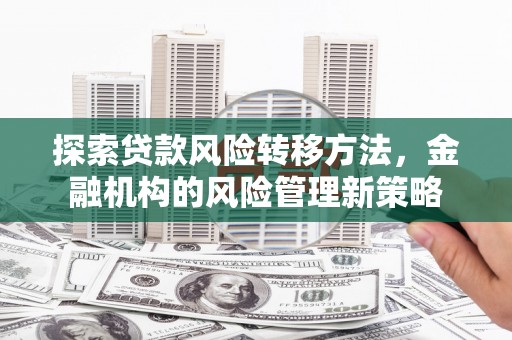 大武探索贷款风险转移方法，金融机构的风险管理新策略