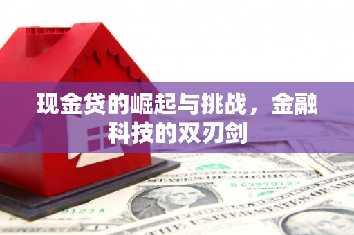 大武现金贷的崛起与挑战，金融科技的双刃剑