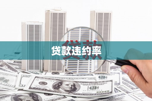 大武贷款违约率