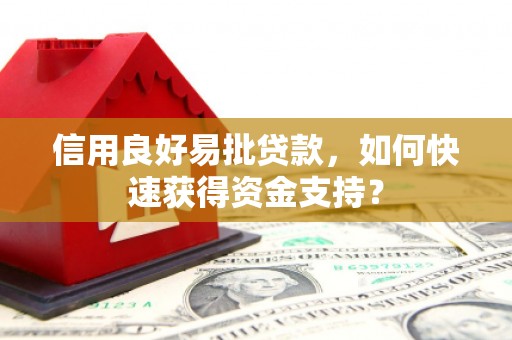 大武信用良好易批贷款，如何快速获得资金支持？