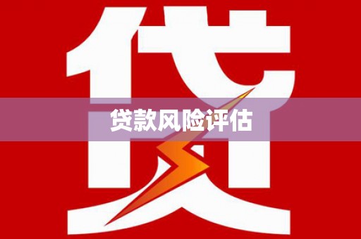 大武贷款风险评估