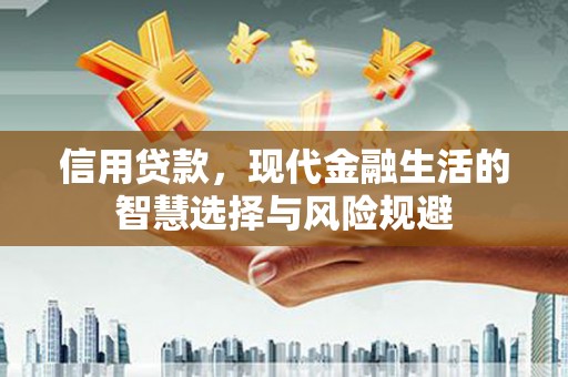 大武信用贷款，现代金融生活的智慧选择与风险规避