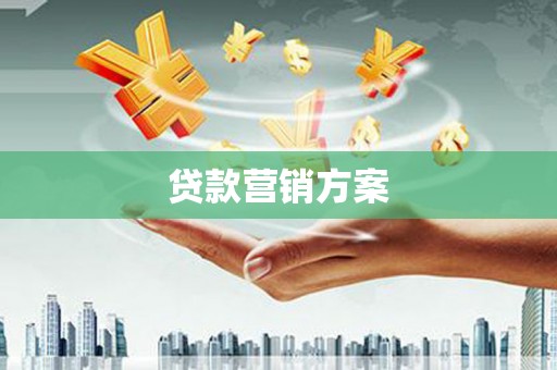大武贷款营销方案