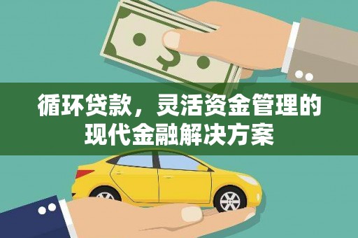 大武循环贷款，灵活资金管理的现代金融解决方案