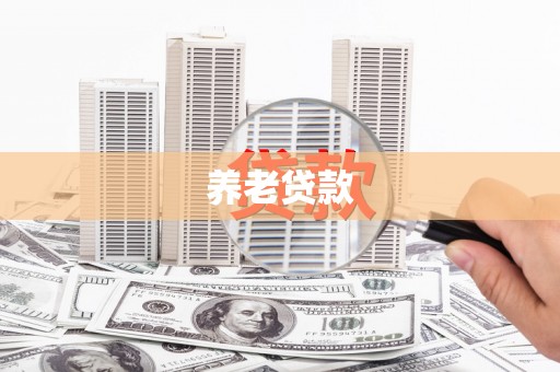 大武养老贷款
