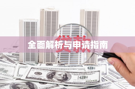 大武全面解析与申请指南