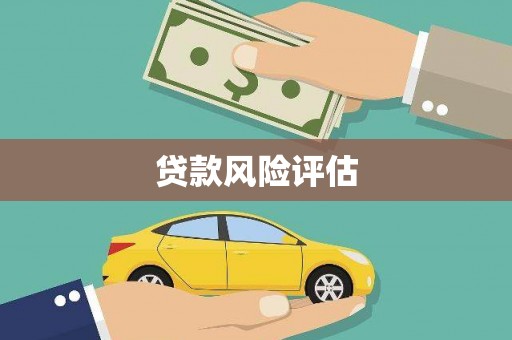 大武贷款风险评估