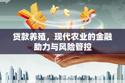 大武贷款养殖，现代农业的金融助力与风险管控