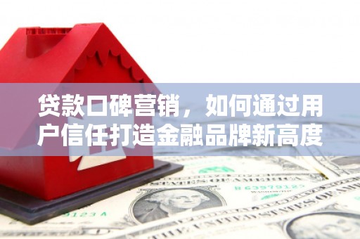 大武贷款口碑营销，如何通过用户信任打造金融品牌新高度