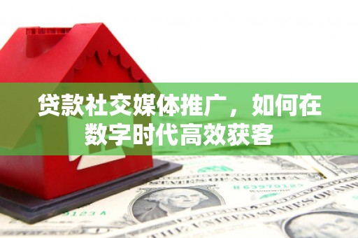大武贷款社交媒体推广，如何在数字时代高效获客