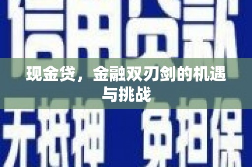 大武现金贷，金融双刃剑的机遇与挑战