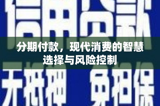 大武分期付款，现代消费的智慧选择与风险控制
