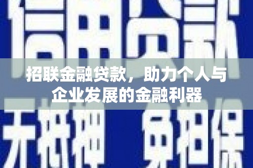 大武招联金融贷款，助力个人与企业发展的金融利器