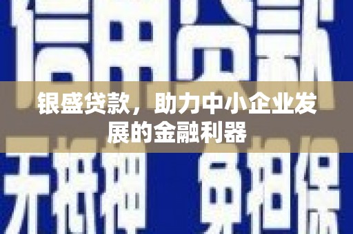 大武银盛贷款，助力中小企业发展的金融利器