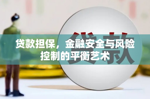 大武贷款担保，金融安全与风险控制的平衡艺术