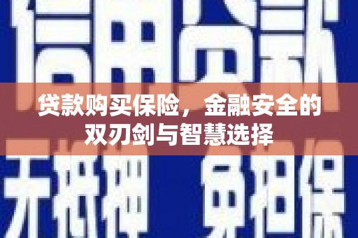 大武贷款购买保险，金融安全的双刃剑与智慧选择
