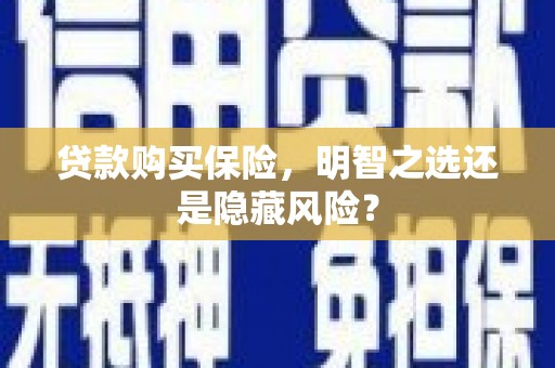 大武贷款购买保险，明智之选还是隐藏风险？
