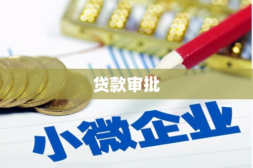 大武贷款审批