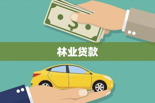 大武林业贷款