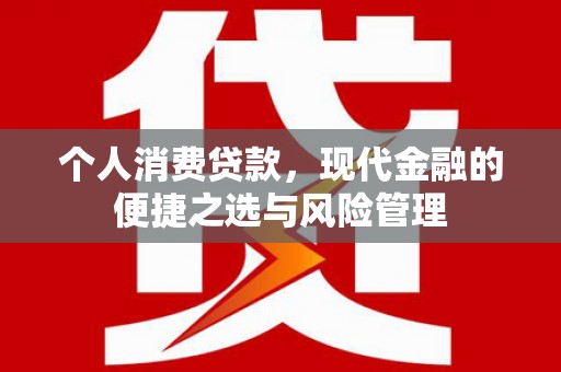 大武个人消费贷款，现代金融的便捷之选与风险管理