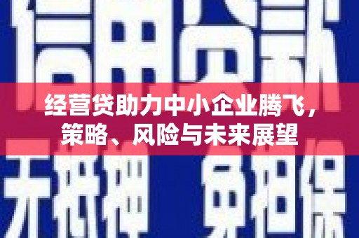 大武经营贷助力中小企业腾飞，策略、风险与未来展望