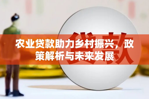 大武农业贷款助力乡村振兴，政策解析与未来发展