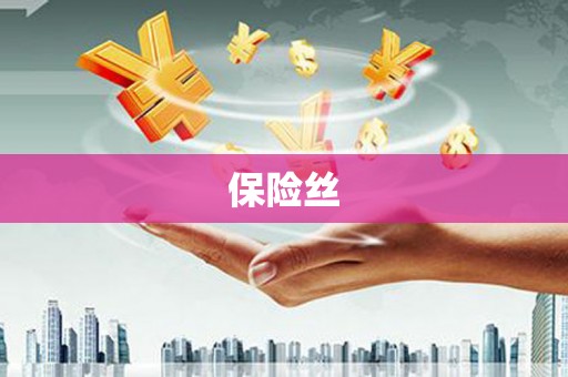 大武保险丝