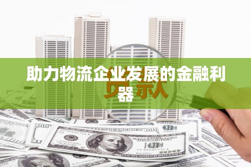 大武助力物流企业发展的金融利器
