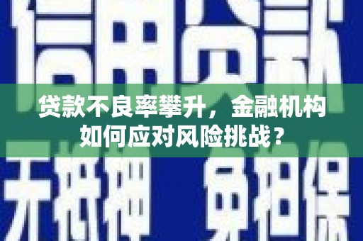 大武贷款不良率攀升，金融机构如何应对风险挑战？